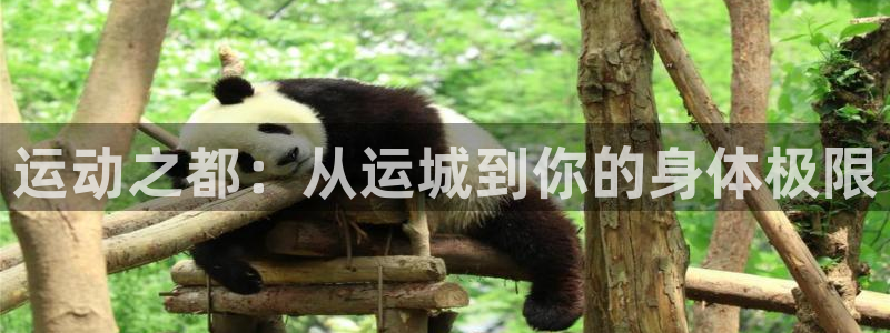 谈球吧体育官网