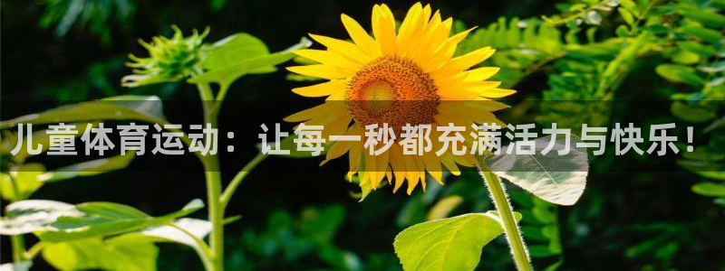谈球吧体育官网