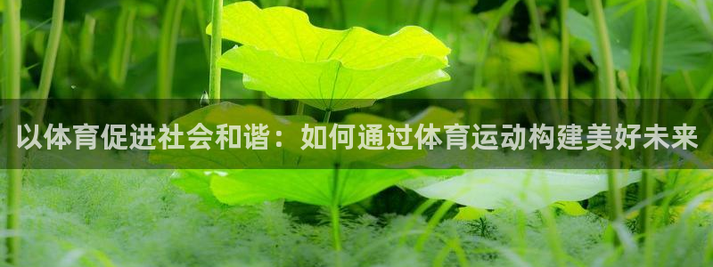 谈球吧体育官网