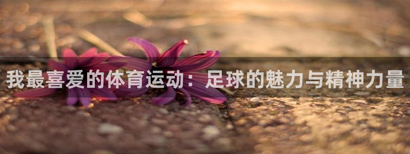 谈球吧体育官网