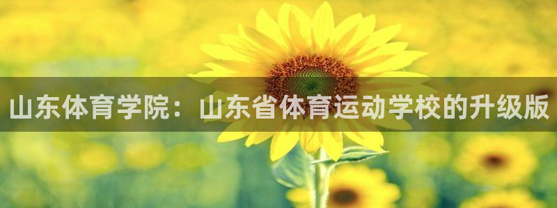 谈球吧体育官网