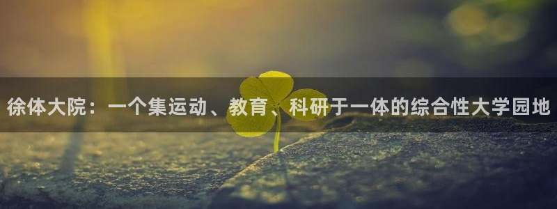 谈球吧