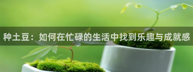 谈球吧