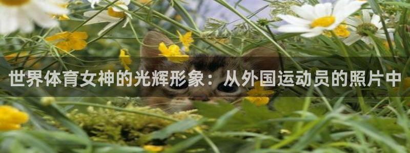 谈球吧体育