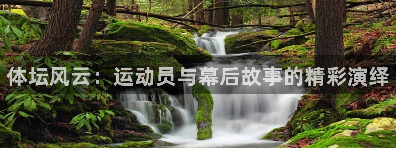 谈球吧体育
