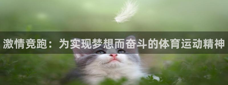 谈球吧体育