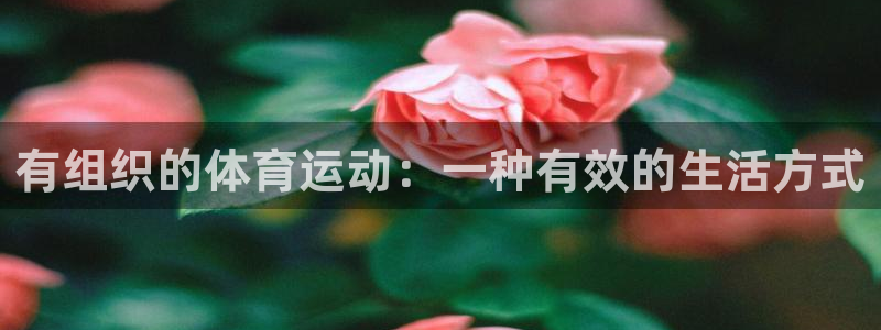 谈球吧体育官网