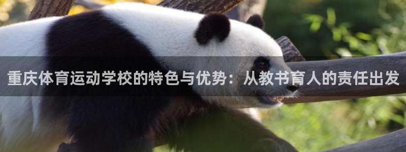 谈球吧体育官网