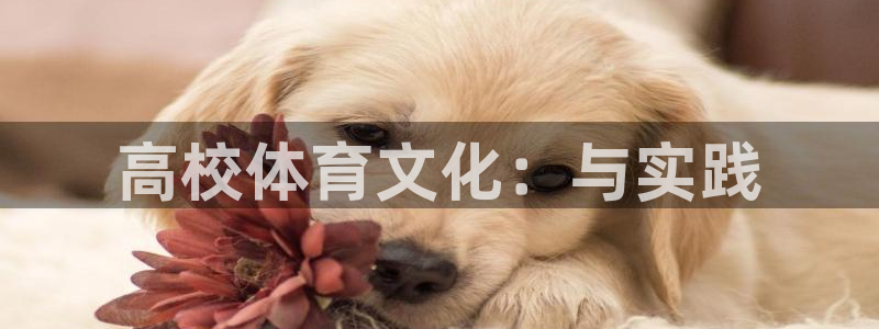 谈球吧