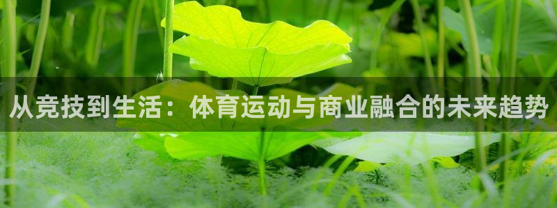 谈球吧